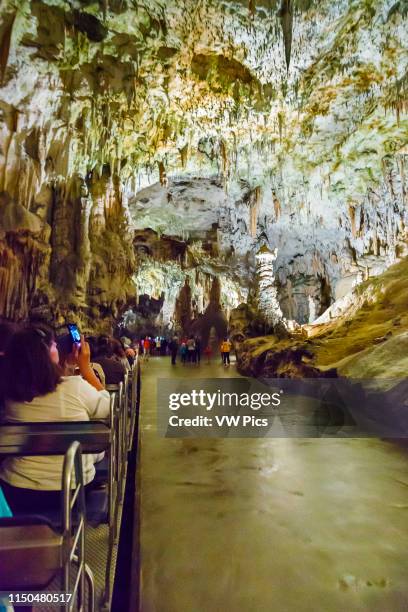 Cave Inner Inner Space Cavern Photos and Premium High Res Pictures - Getty Images