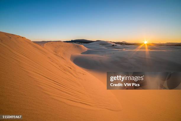Sand dunes at Umpqua Dunes, Oregon Dunes National Recreation Area, Oregon Coast.