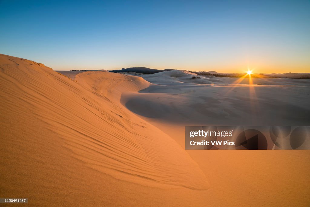 Sand dunes at Umpqua Dunes