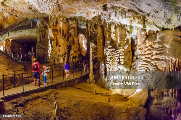 Postojna Cave. Inner Carniola region. Slovenia, Europe.