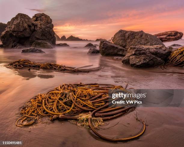 Lone Ranch Beach 161 Lone Ranch Beach Stock Photos, High-Res Pictures, and Images ...