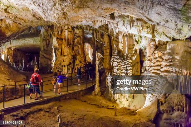 Postojna Cave. Inner Carniola region. Slovenia, Europe.