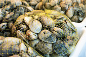 Fresh clams on mesh bag