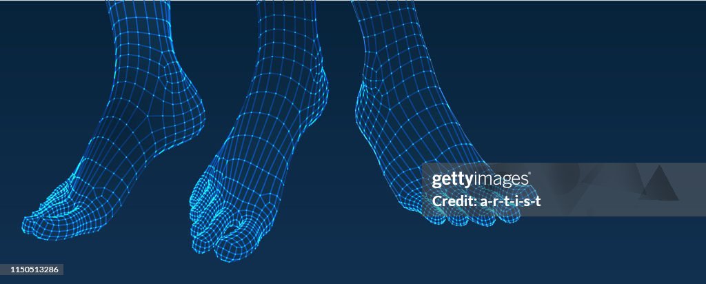 Three dimensional feet. Set. Ware mesh from 3d app.