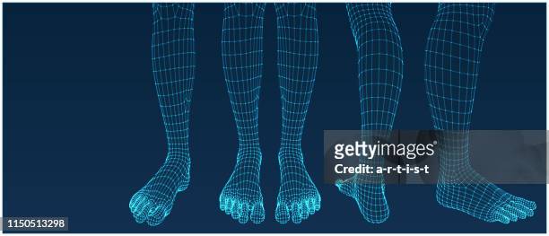three dimensional feet. set. ware mesh from 3d app. - legs stock illustrations
