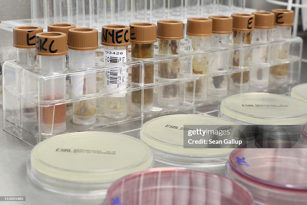 Health Authorities Seek Clues To EHEC Outbreak