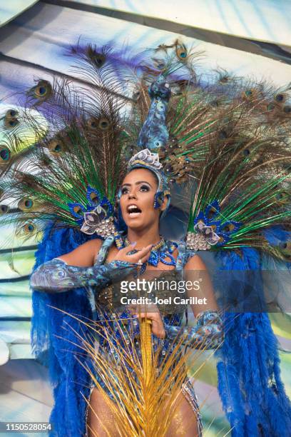 carnival sambodrome performer in rio de janeiro, brazil - carnaval rio stock pictures, royalty-free photos & images