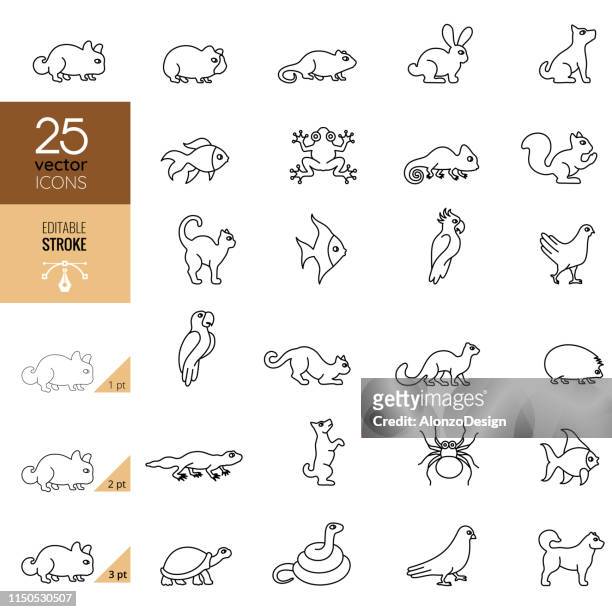 stockillustraties, clipart, cartoons en iconen met huisdieren icon set. bewerkbare lijn - hamster
