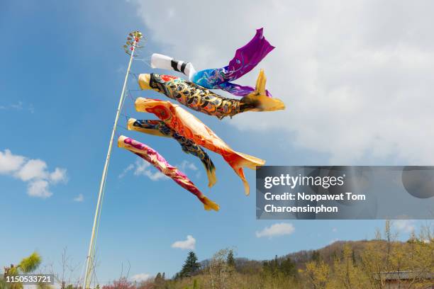 japanese carp flag - koinobori - koinobori stock pictures, royalty-free photos & images