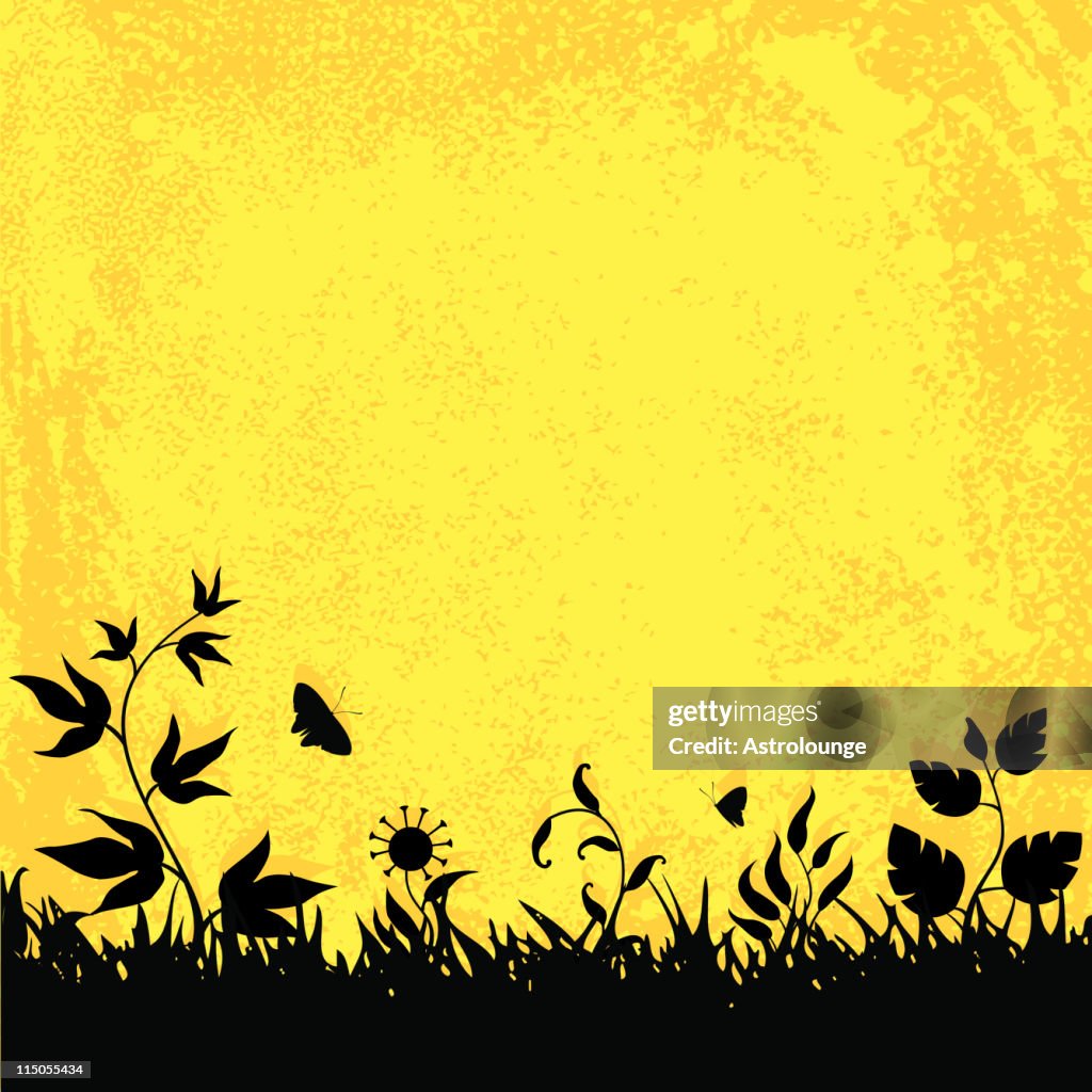 Floral background