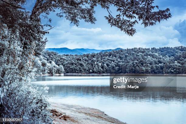 icy winter mountain lake - snow-covered forest trees - fontana lake north carolina stock pictures, royalty-free photos & images
