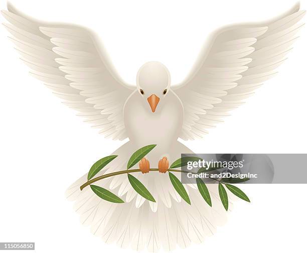 dove with olive branch - olive branch stock illustrations