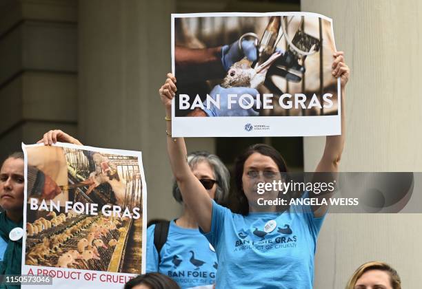Red Rabbit Protest 21 Us Peta Rabbit Protest Stock Photos, High-Res Pictures, and Images ...