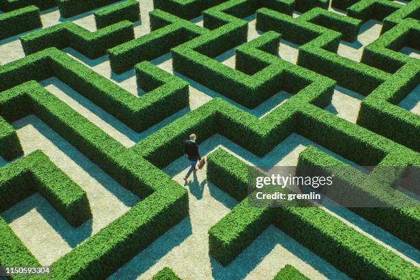 businessman walking in maze - labyrinthe stock pictures, royalty-free photos & images