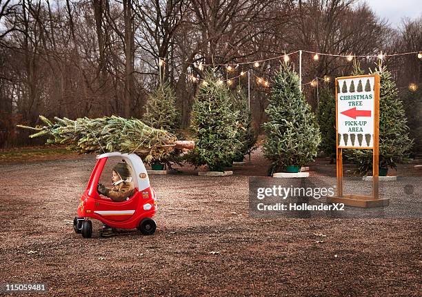 little boy with christmas tree on top of toy car - offbeat fotografías e imágenes de stock