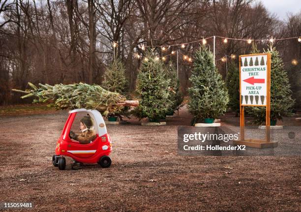 little boy with christmas tree on top of toy car - funny christmas signs stockfoto's en -beelden