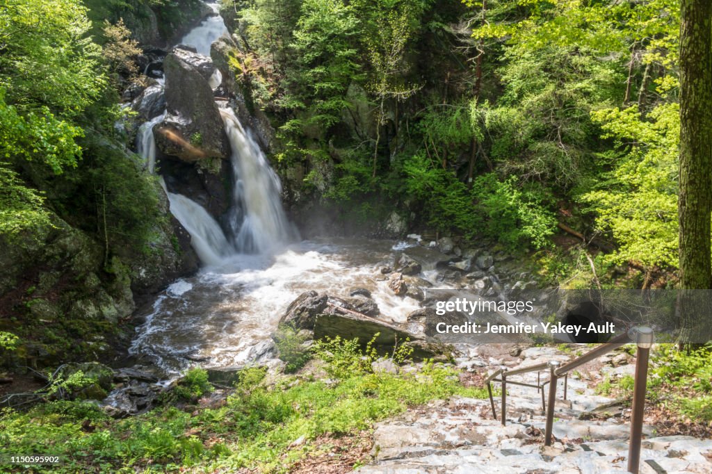 Bash Bish Falls in Spring