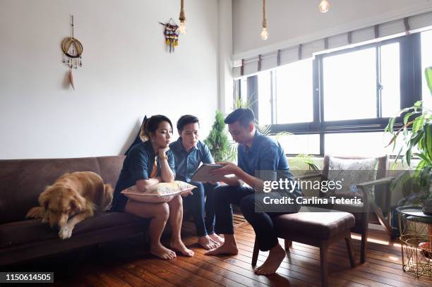 young couple having a consultation at home - account dog stock pictures, royalty-free photos & images