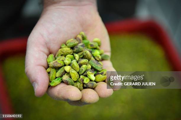 An employee of the Provencal confectionery of Roy Rene holds pistachios in their hand, in Aix-en-Provence, southeastern France on June 12, 2019. - In...