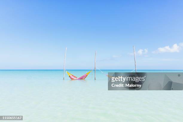 two hammocks in the crystal clear turqoise water at a beach on the island of holbox, mexico - isla holbox stock pictures, royalty-free photos & images