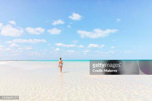 one young woman walking at the beach in crystal clear water on the island of holbox, mexico - holbox island stockfoto's en -beelden