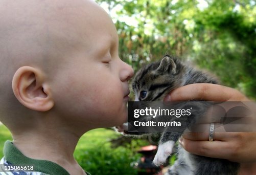 Cancer Kids; kisses for kitten Cancer Kids; kisses for kitten