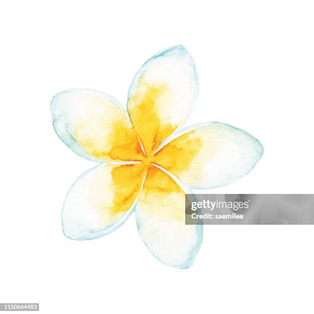 aquarell tropische blume - flower head stock-grafiken, -clipart, -cartoons und -symbole