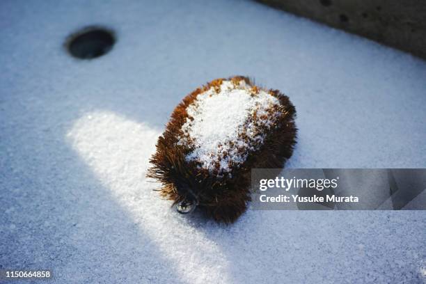 close-up of cleaning brush on outside sink with snow - scheuerbürste stock-fotos und bilder