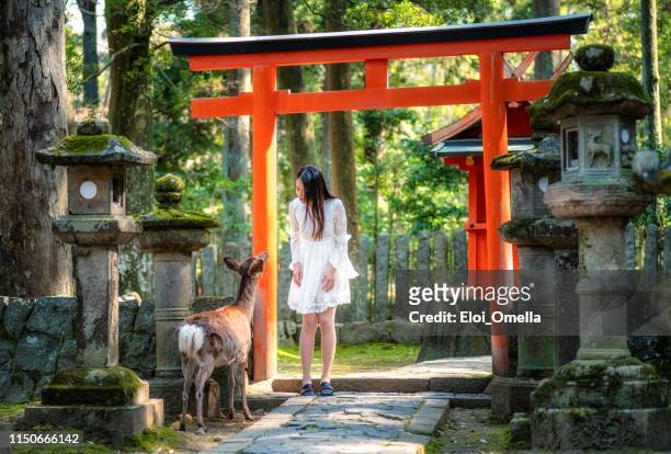 奈良公園の鳥居の前の日本の少女と鹿 - 奈良県 ストックフォトと画像