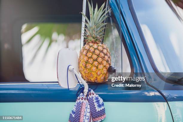 Pineapple Rv Vintage Rv Camping Photos and Premium High Res Pictures - Getty Images