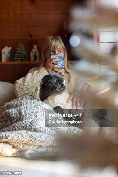woman drinking and cuddling dog on sofa at home - deckenverkleidung holz stock-fotos und bilder
