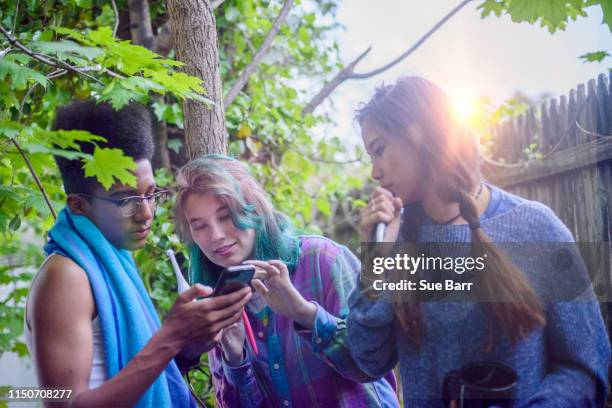 three male and female teenagers in garden looking at smartphone - brush teeth phone stock pictures, royalty-free photos & images