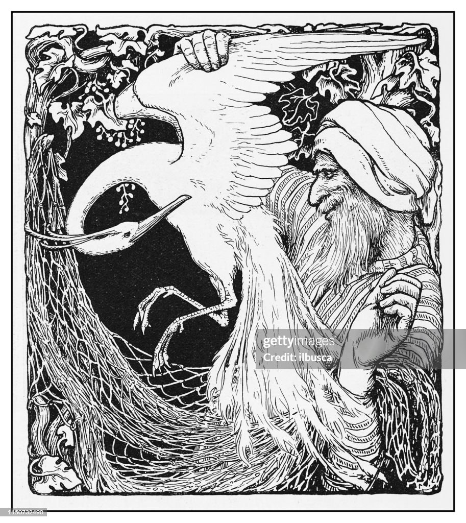 Antique illustration: The White Bird by J D Batten