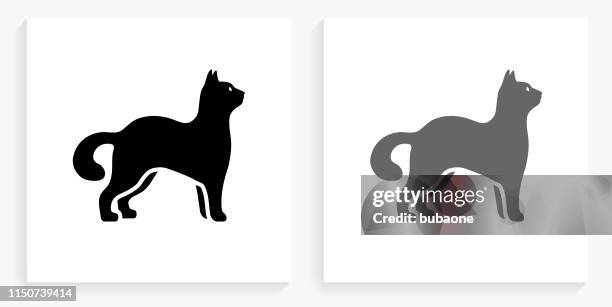 猫黒と白の正方形のアイコン - 猫 影点のイラスト素材／クリップアート素材／マンガ素材／アイコン素材