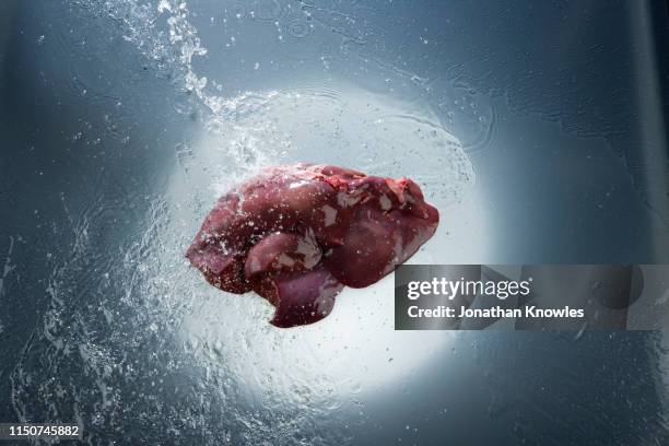 liver - human liver stock pictures, royalty-free photos & images