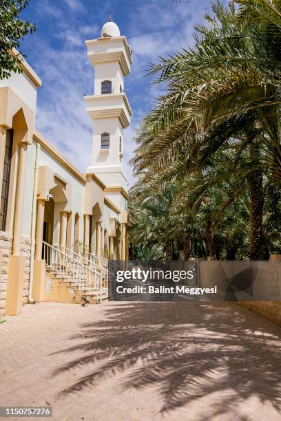 al ain oasis, al ain, u.a.e. - oasis court stock pictures, royalty-free photos & images