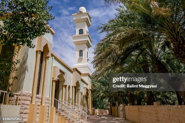 al ain oasis, al ain, u.a.e. - oasis court stock pictures, royalty-free photos & images