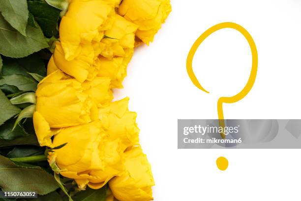 yellow roses question mark - anniversary mark stock pictures, royalty-free photos & images