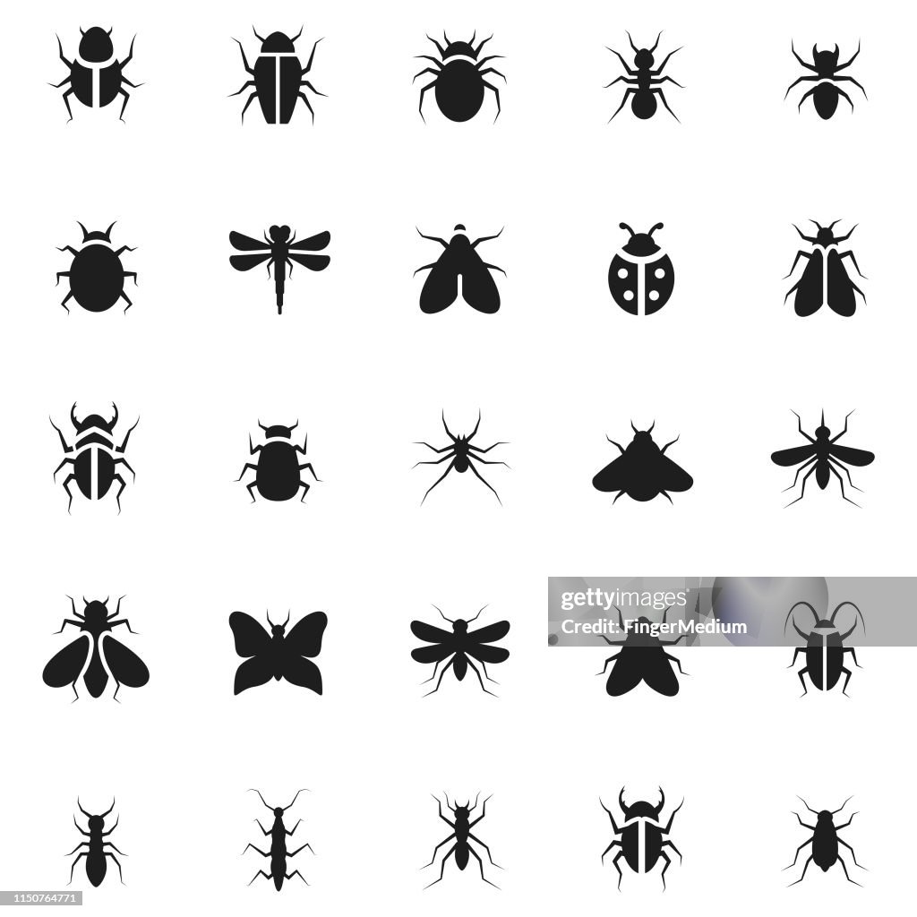 Icono de insecto conjunto