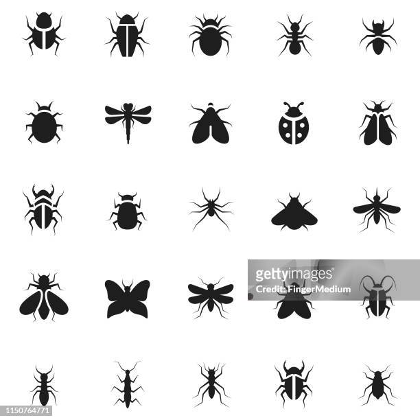 insect icon set - ladybird stock illustrations