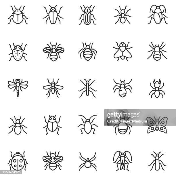 ilustraciones, imágenes clip art, dibujos animados e iconos de stock de conjunto de vectores icono de insecto - hormiga