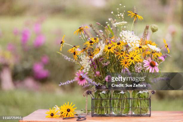 bouquet of wildflowers - black eyed susan stockfoto's en -beelden