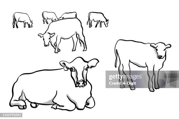 cows and calf - cow art stock illustrations