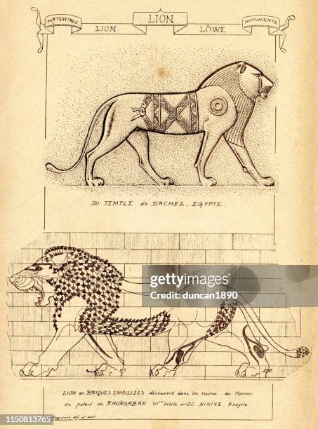 lions in ancient architecture, ancient egypt and mesopotamia - mesopotamian art stock illustrations