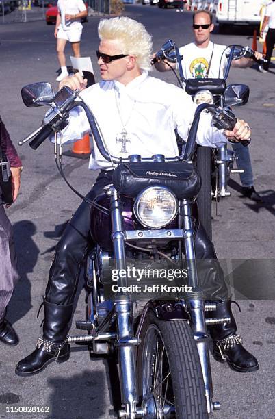 Tweki 10,553 Billy Idol Billy Idol Photos & High Res Pictures - Getty Images