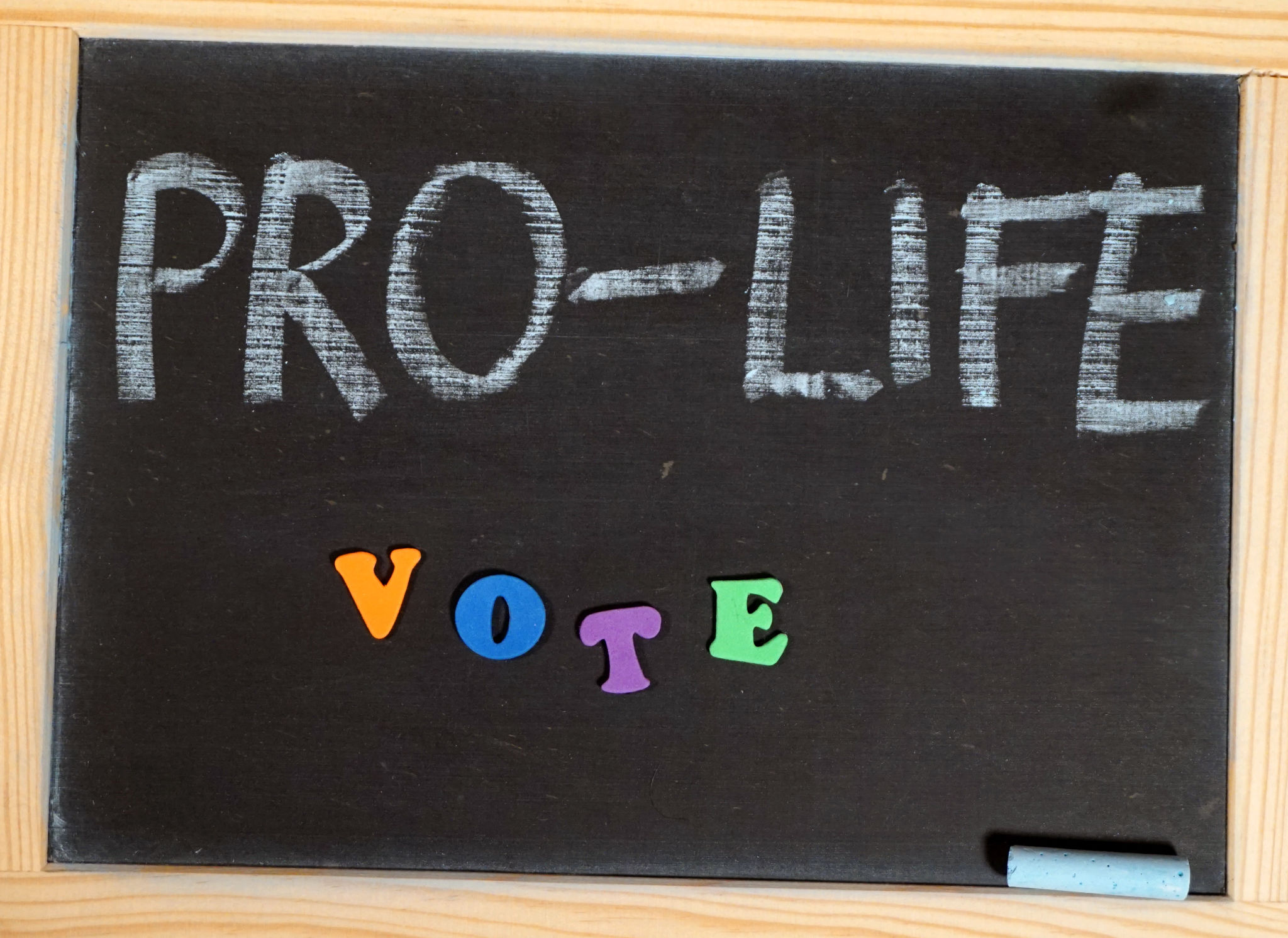 pro-life education