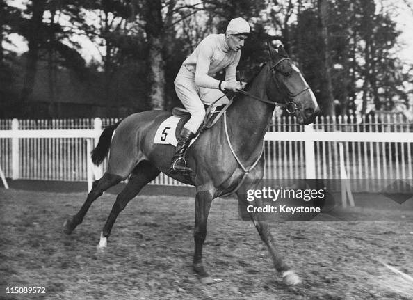 Anthony Bingham Mildmay, 2nd Baron Mildmay of Flete, known as Nitty