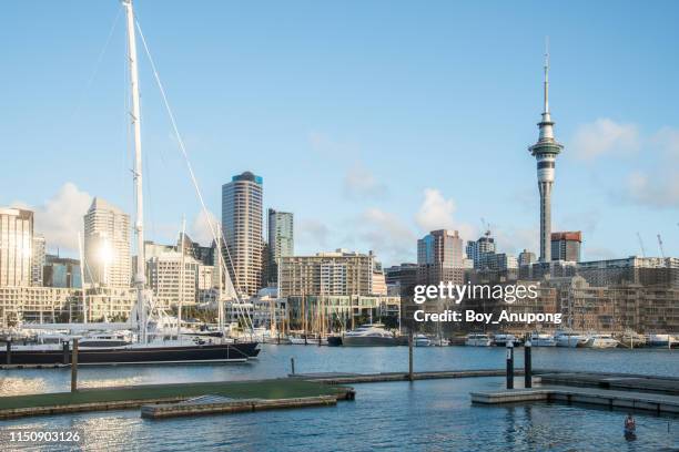 scenery view of viaduct harbour in the central of auckland, new zealand. - viaduct harbour foto e immagini stock