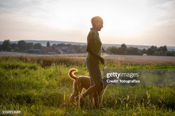 active senior woman walk with her dog in rural scene - mature adult walking dog stock pictures, royalty-free photos & images