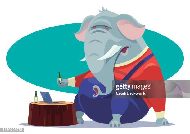 elephant holding beer bottle and using laptop - elephant funny stock illustrations